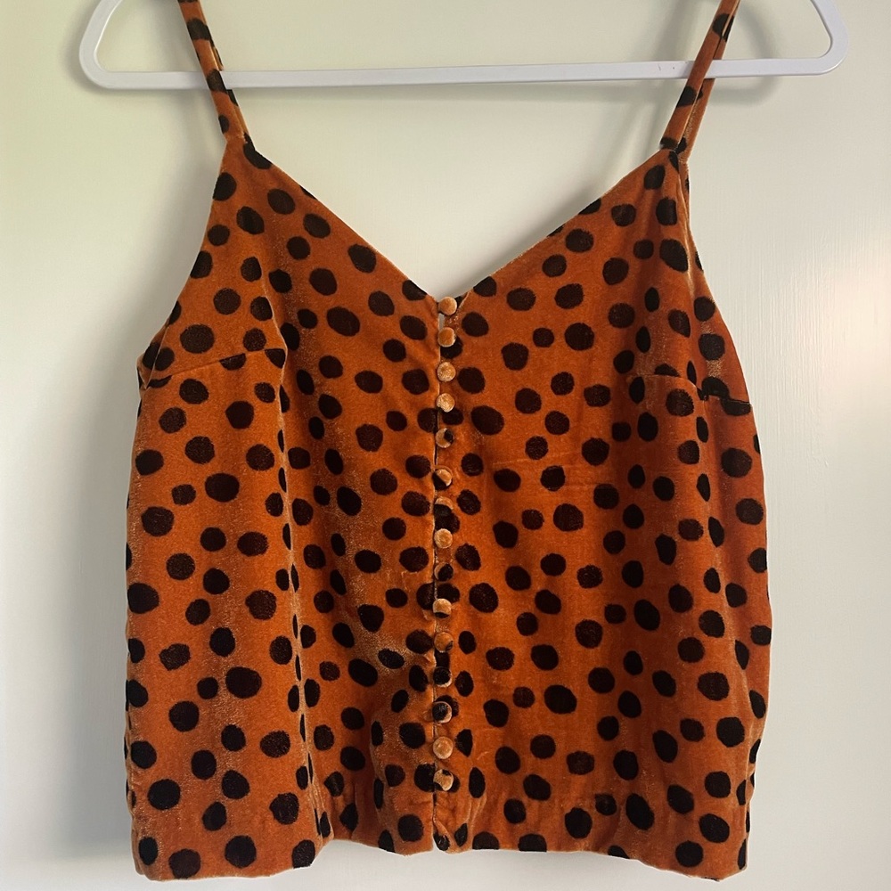 Madewell velvet button down crop top